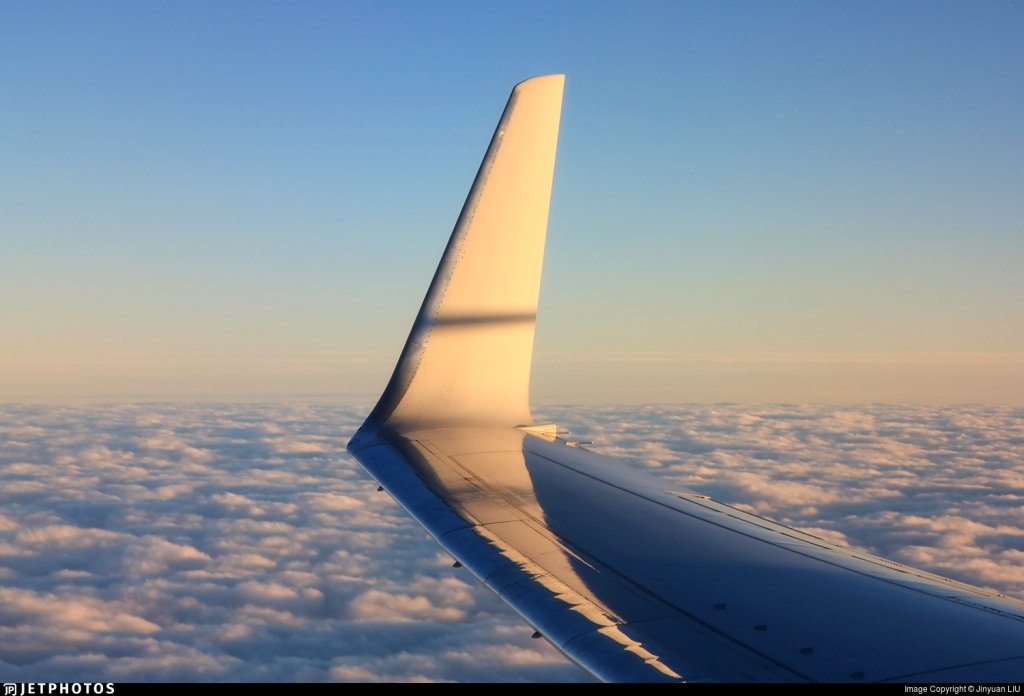 Airplane Winglet
